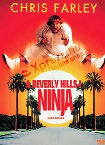 Beverly Hills-i nindzsa