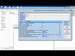 ISO 8583 Payment Message Analysis Parsing