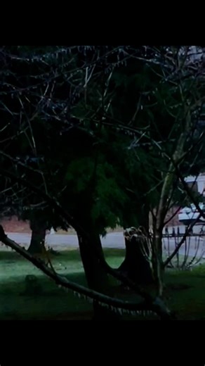 Maria (@m_maria.mia)’s videos with Stairway to Heaven (Remaster) - Led Zeppelin