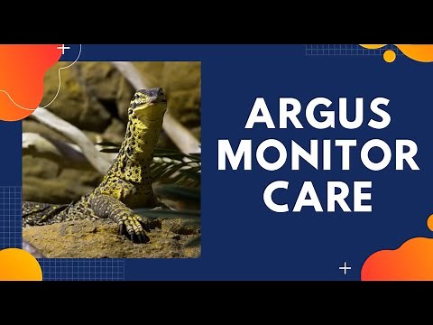 Argus Monitor Care Guide! Everything you need to know!