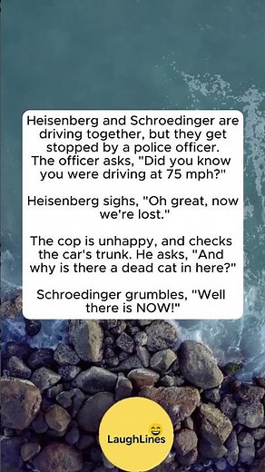 Heisenberg & Schrödinger Get Pulled Over 😂 | Physics Joke That Will Make You Think #funny #laugher