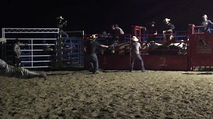 ASE Ranch Open Bull Riding 7-28-17 204 | Rowland's Bucking Bulls | Facebook