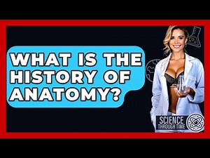 What Is The History Of Anatomy? - Science Through Time