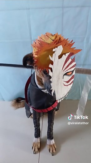 Cute Cosplay of Ichigo from Anime Bleach with a Dog