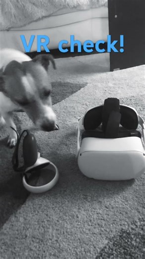 My VR setup sub if it’s good!