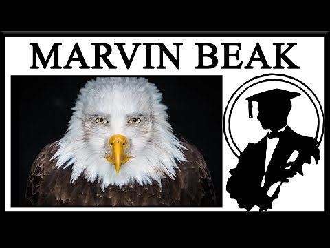 Marvin Beak Is Staring Right At You