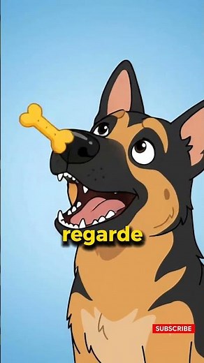 La méthode 5 minutes pour apprendre "ASSIS" à votre Berger Allemand 🐕 France