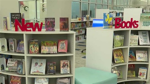 Georgia leaders propose $11.3 million plan to improve literacy. Here's how the money would be spent