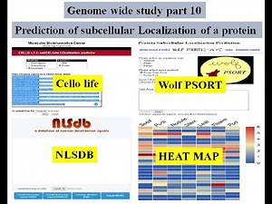 Genome wide study Part 10 | Predicting protein subcellular localization