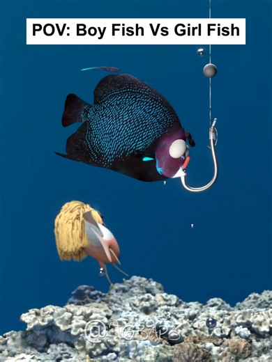 Fish Animation Showdown: Boy Fish vs Girl Fish