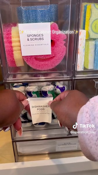 Kitchen Cabinet Organization Tips and Ideas