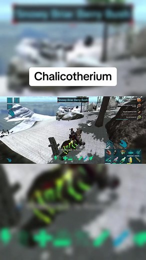 jerboaaa trên TikTok