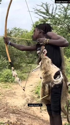 REVIRAVOLTA: Búfalos vs Leão e a Mira do Caçador! 🐃 Lion vs Buffalo! 🏹 शिकारी की चुनौती! 😱