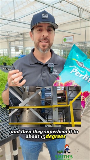 73K views · 1.1K reactions | Those little white bits in potting soil?  Nope, not styrofoam — it’s perlite! ⚪✨ A natural volcanic glass that’s popped like popcorn  Perlite keeps soil loose, drains extra water, and gives roots the oxygen they need to thrive  #smithsgardentown #perlite #gardeningtips #houseplants #soilscience | Smith's Gardentown | Facebook