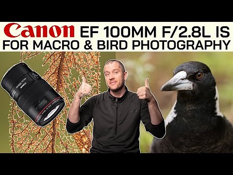 Canon EF 100mm f/2.8L IS for Macro & Bird Photography?! | Tips for shooting without a flash