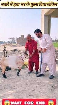 Paise ki lalach mein Bakri ke sath bahut galat kam Kiya 😭❌😱Wood working withart handcraft idea