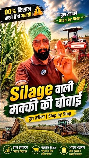 Maize seeding for silage? How to sow maize for silage? Veer Dairy Farm guidance