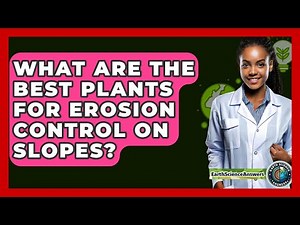 What Are The Best Plants For Erosion Control On Slopes? - Earth Science Answers
