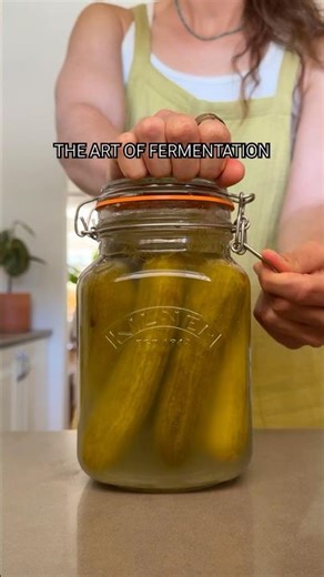 The Art of Fermentation