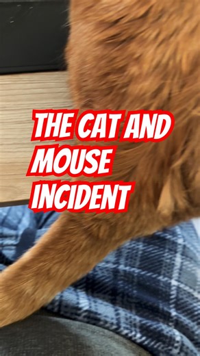 The Cat and Mouse Game