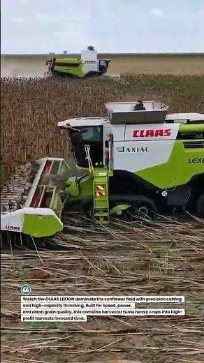 CLAAS LEXION Sunflower Harvest Beast 🌻🚜 #CLAAS #Harvest2026 #AgriTech