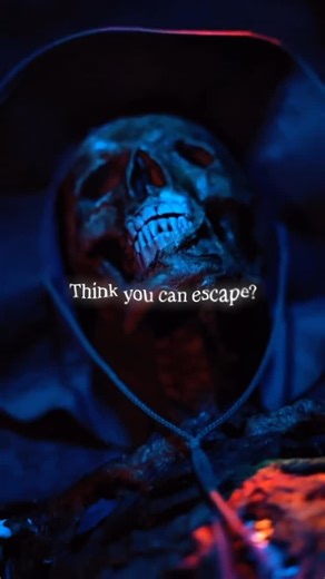 Unearth an ancient Mayan tomb and face the wrath of disturbed gods....