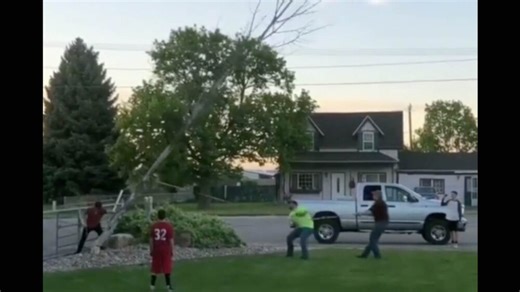 Daily Darwin: Thursday, October 30, 2025