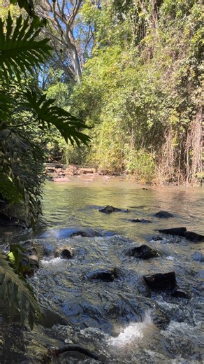 🌳 Chácara para venda na Cidade de Descalvado/SP Próximo ao restaurante Butiá TERRENO: Com 2.2 hectares AT: 22.000,00m2 e AC: 600,00m2 Privativos CONSTRUÇÃO: aproximadamente 700m2 ➡️ Características: - espaço todo gramado - ⁠jardins cautelosamente cultivados - ⁠pequeno riacho passando em frente à casa - ⁠árvores nativas - ⁠2 lagos - ⁠casa principal avarandada, com garagem coberta para 4 veículos, lavanderia, dispensa, cozinha, copa, 4 quartos [todos suítes], sala e lavabo - ⁠área gourmet com chu