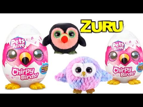 WOW! SUPER ZURU! EGG SURPRISE! PETS ALIVE! CHIRPY BIRDS! ASMR | UNBOXING