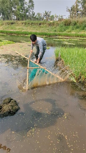 Tiny Village Net vs Huge River Fish – Amazing Catch! #fishing