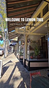 Nestled in the heart of downtown Angels Camp, Lemon Tree Bakery & Coffee Shop is a local favorite for good reason. From perfectly brewed coffee to fresh-baked scones, muffins, and cookies—plus savory bites like avocado toast—it’s the kind of place that makes you want to linger. With its cozy charm, friendly faces, and strong support of local businesses, Lemon Tree is the perfect stop for breakfast, lunch, or a relaxed morning downtown. 📍1257 S Main St, Angels Camp, CA 95222 Open: Tuesday-Friday