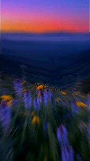 Peaches - Justin bieber, Daniel Caesar, GIVĒON |