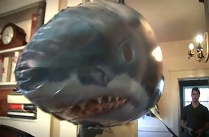 Air Swimmers: Awesome RC flying shark and clownfish.