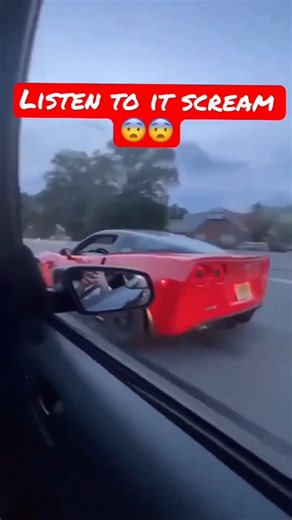 🎈ZillaMotorsport | Corvette ZR1 vs Mustang GT in a Street Race 🔥 #ford #chevy #corvette #mustang #zr1 #cars #streetrace #racing #turbo #jdmcars #americancars... | Instagram