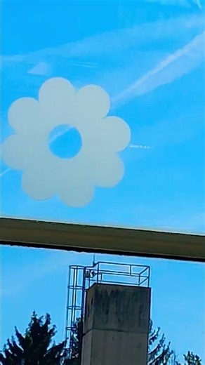 Why is there a Flower in the Midlle of a Window #Sticker #Glass #Window #Flower