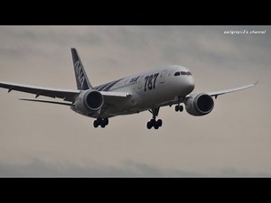 復興応援フライト ANA Boeing 787-8 Dreamliner JA801A 仙台空港着陸 2011.10.30