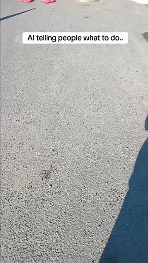 wild local in Uawa newzealand fuming over wasted money..#enough#sillyness#overit#wethepeople#hadenough#juststop.