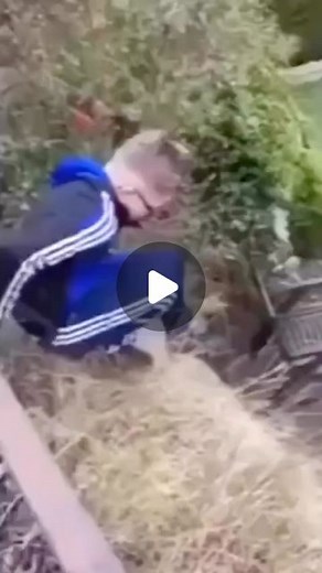 Instagram video by D-Boi Meme Boi • May 19, 2023 at 4:06 PM