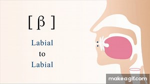 [ β ] voiced bilabial non sibilant fricative on Make a GIF