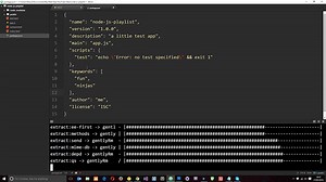 Node JS Tutorial for Beginners #21 - The package.json File