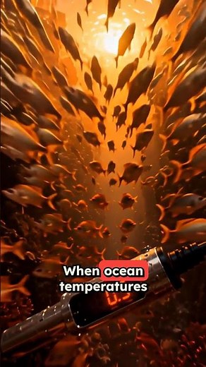 The Terrifying Truth About Coral Bleaching