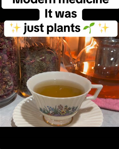 Don’t get me wrong modern medicine has its place BUT what if we all just started healing at the core and let the plants do what they’re meant to 🌿🤍 #HerbalHealing #herbaltea #MindfulLiving #holstichealing #fyp