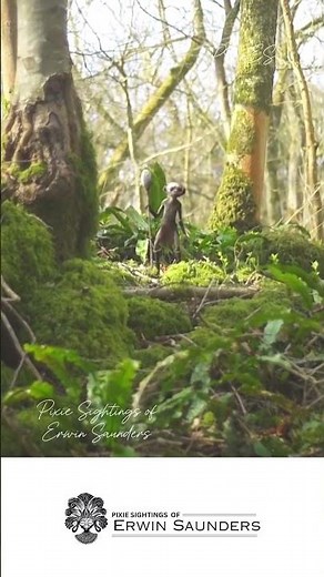 A real-life Pixie sightings