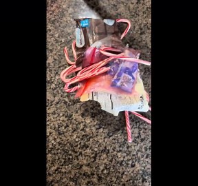 Easy Peppermint Bark Recipe - Holiday Chocolate Treat