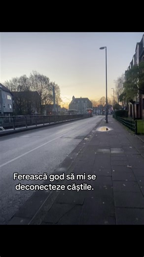 Biscuit Lovers Unite: El Bruso's New Delight