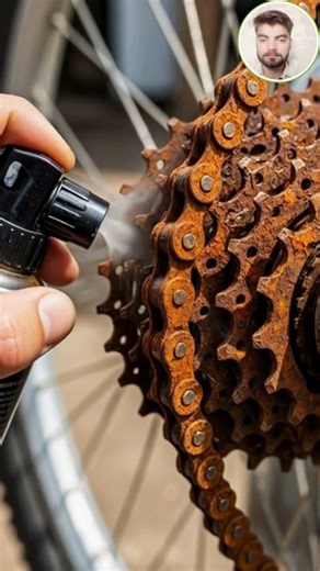 Rusty Bicycle Chain Restored – Rust Remover in Action
