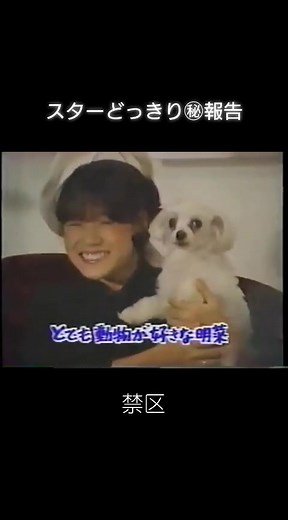 #中森明菜 #歌姫#スターどっきり秘報告 #禁区#可愛い#昭和の番組