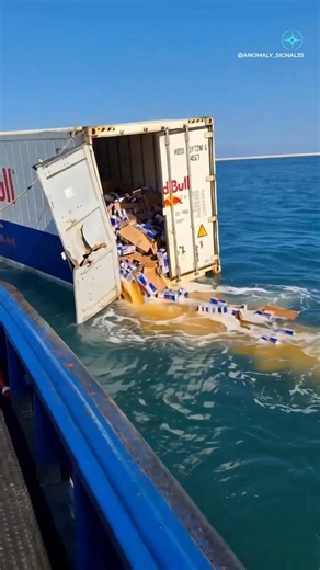 container vessel|merchant navy|navy status|shorts video #ship #lifeatsea #trending #travel