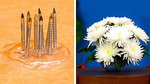 262K views · 485 shares | Flower decor ideas to impress your friends: | 5-Minute Crafts Men | Facebook