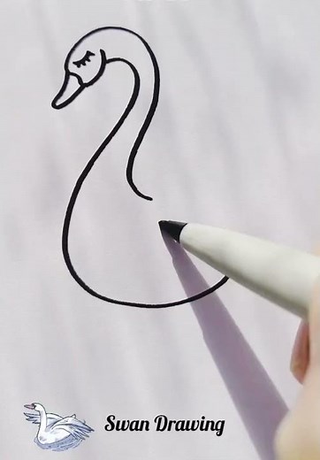 Swan Drawing | How to draw a Swan | Easy Drawing Swan #drawingbirds #drawingforkids #drawingset